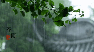 今日谷雨:养生,诗词,习俗……聊聊谷雨那些事!